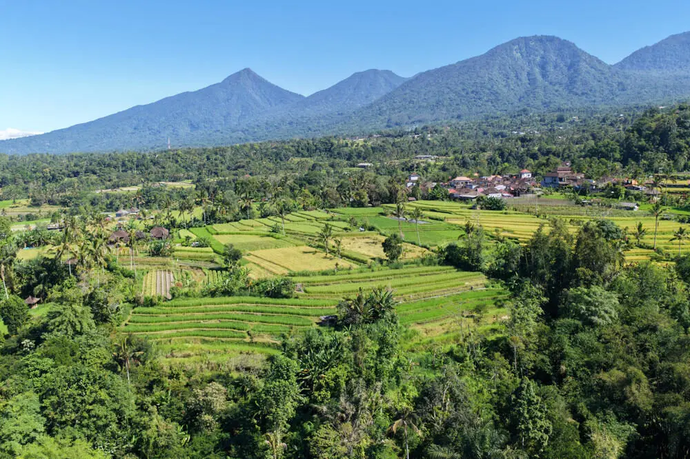 A scenic view of Mount Batukaru, a sacred volcano in Bali, rising above lush green rice terraces and jungle, representing one of the hidden adventures on the island.