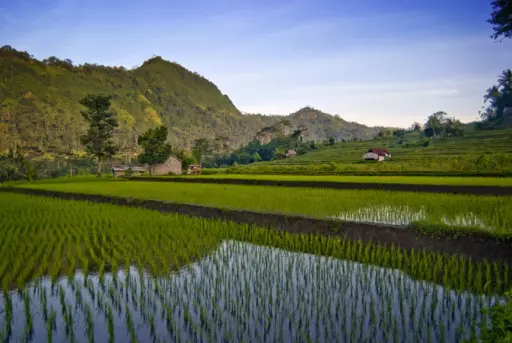 Sidemen Valley- Bali’s Hidden Countryside Retreat