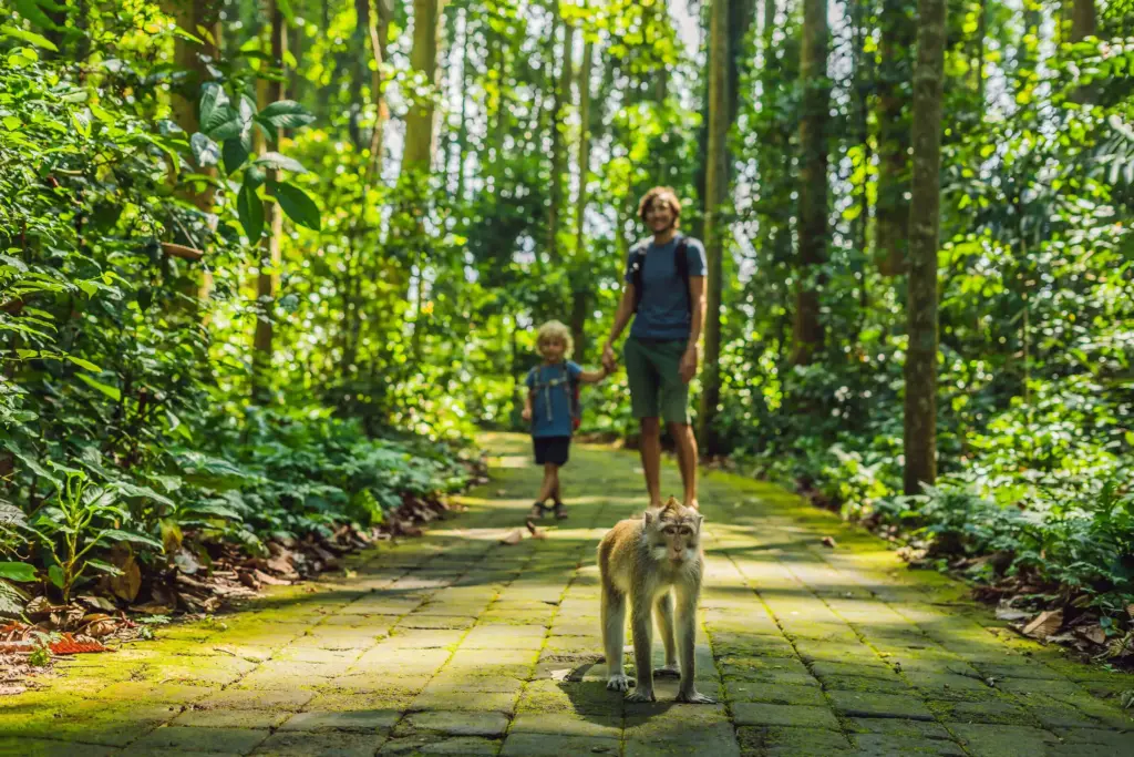 Father and child walking in Bali’s Monkey Forest with a macaque on the path during a family trip