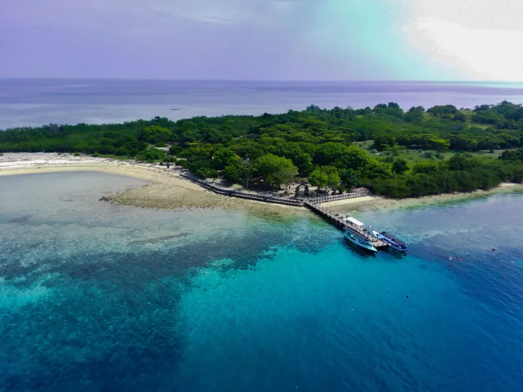 Aerial view of Menjangan Island in Bali, featuring turquoise waters, coral reefs, and lush greenery