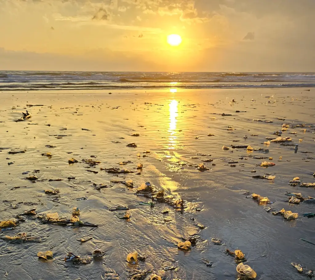Plastic waste scattered across a Bali beach during sunset, reflecting the environmental impact of tourism
